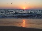 Foto: Oman: the Native Shore of Turtles